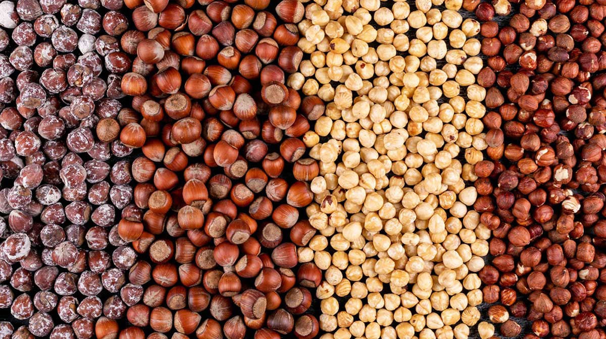 Health Food & Agribusiness