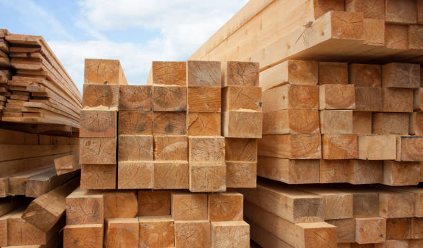 Timber & Wood Product Supply